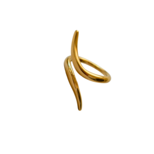 anillo doble curva